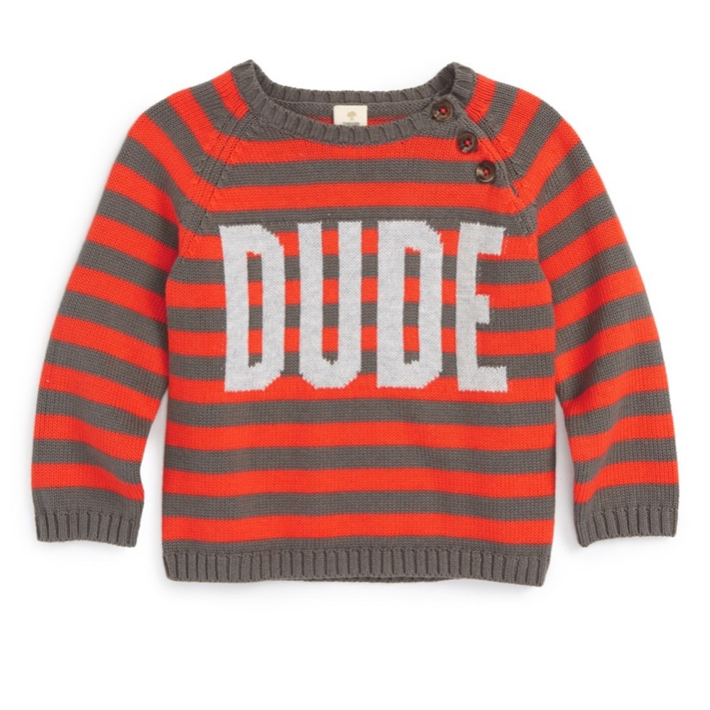 LIKE NEW Tucker +Tate Intarsia Knit “Dude” Sweater